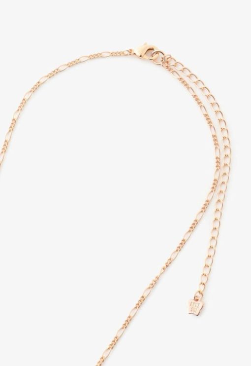 Cartnovae.shop091f257a2e 3