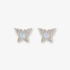 Cartnovae.shop1bc53f0547 1