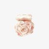 Cartnovae.shop50b6a9fcec 1