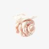 Cartnovae.shop50b6a9fcec 3