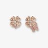Cartnovae.shop5ad5061220 1