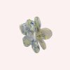 Cartnovae.shop696f5fda1b 2
