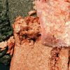 Cartnovae.shopbeb1bf41e3 4