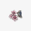 Cartnovae.shope626f27273 1